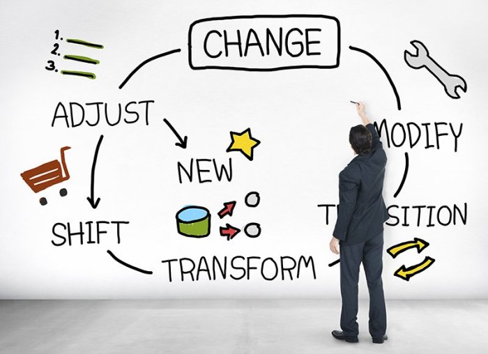 How to Transform Your Home with Energy Efficient Windows